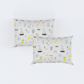 fd06-pillow-set